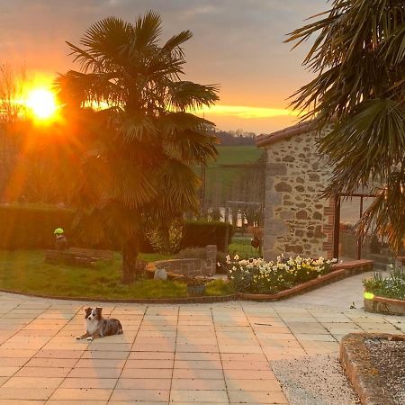La Basse Monniere Bed and Breakfast Sevremont Εξωτερικό φωτογραφία
