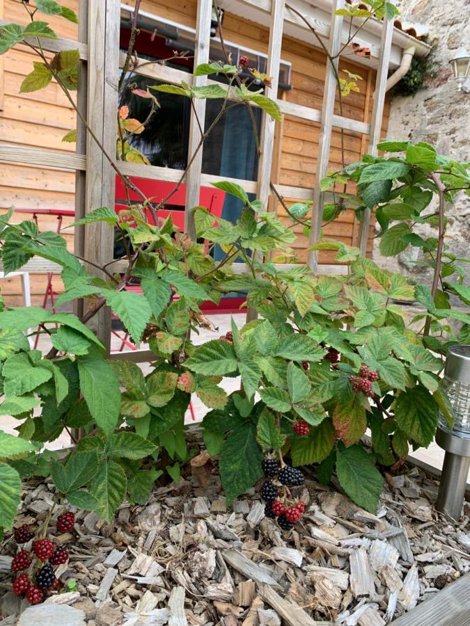 La Basse Monniere Bed and Breakfast Sevremont Εξωτερικό φωτογραφία