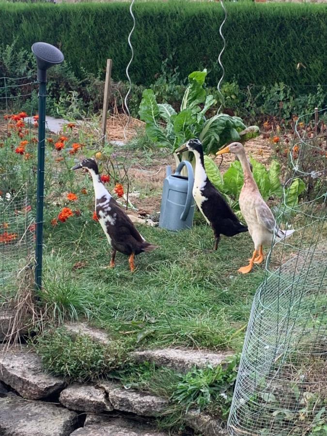 La Basse Monniere Bed and Breakfast Sevremont Εξωτερικό φωτογραφία