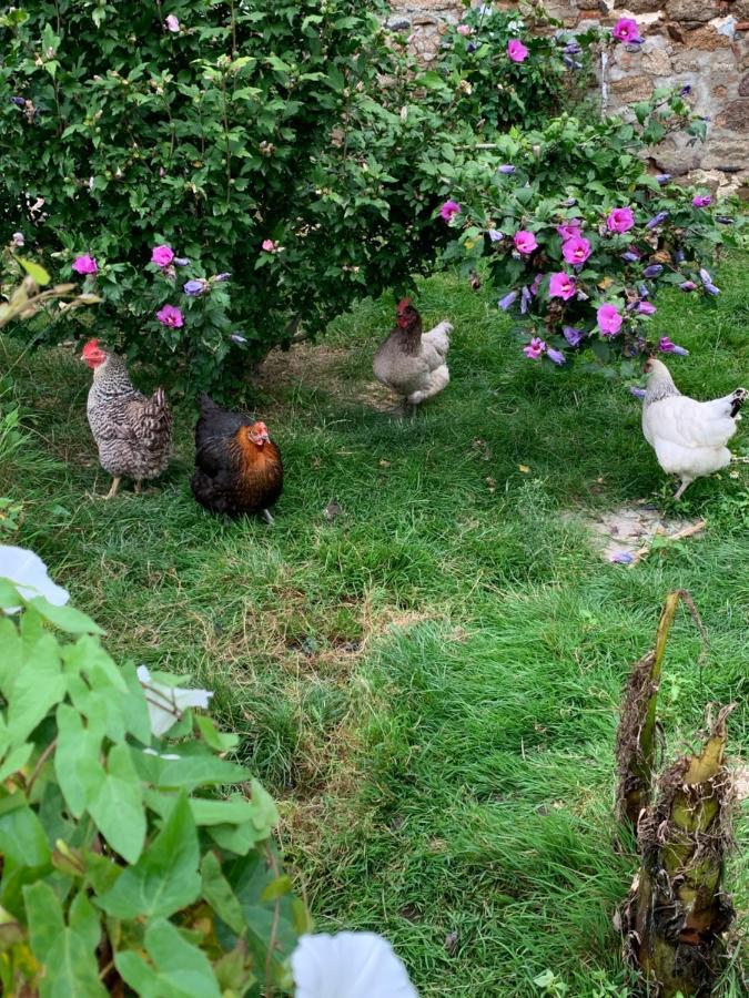 La Basse Monniere Bed and Breakfast Sevremont Εξωτερικό φωτογραφία