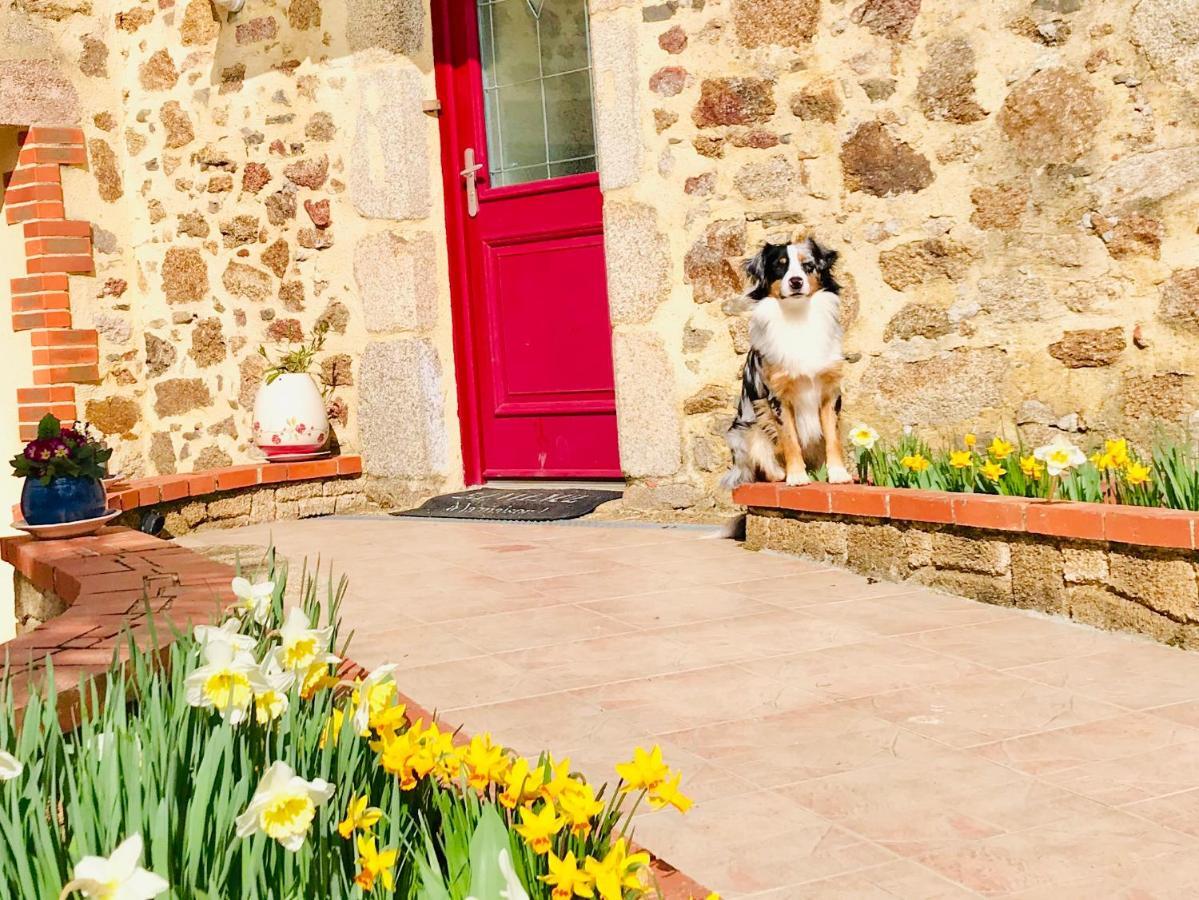 La Basse Monniere Bed and Breakfast Sevremont Εξωτερικό φωτογραφία